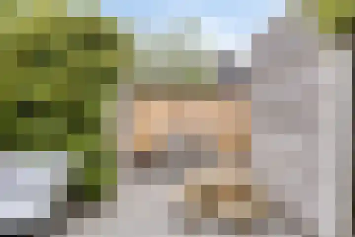 Gerrit Palmlaan 8 Ugchelen thumbnail 30