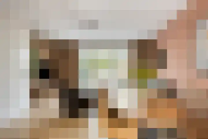 Gerrit Palmlaan 8 Ugchelen thumbnail 9
