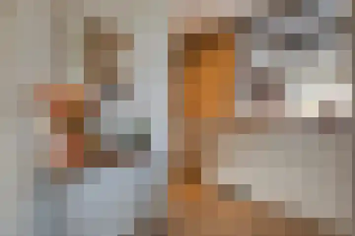 Gerrit Peuscherstraat 311 Hengelo thumbnail 16