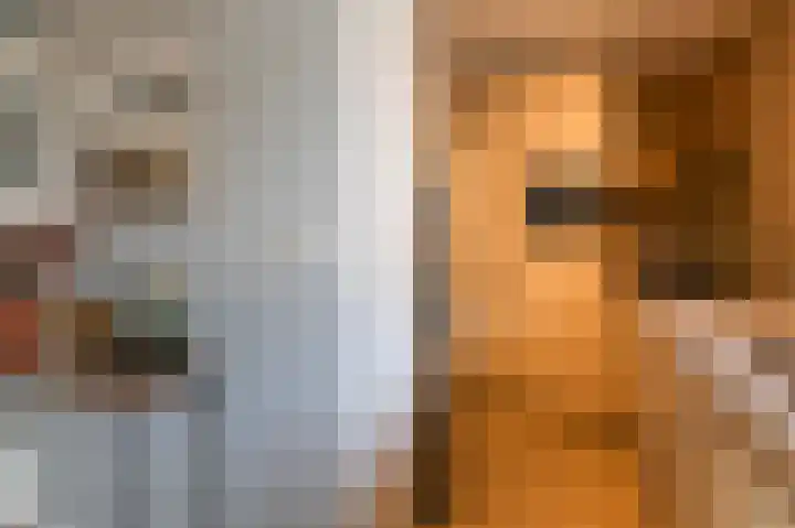 Gerrit Peuscherstraat 311 Hengelo thumbnail 17