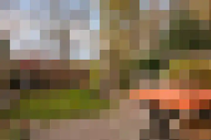 Gerrit Peuscherstraat 311 Hengelo thumbnail 4