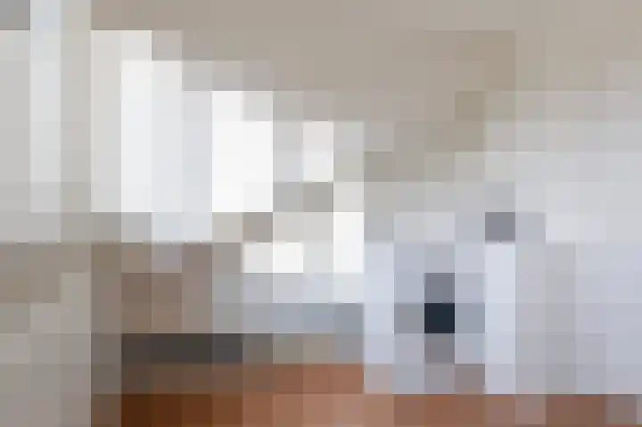 Gerrit Peuscherstraat 311 Hengelo thumbnail 46