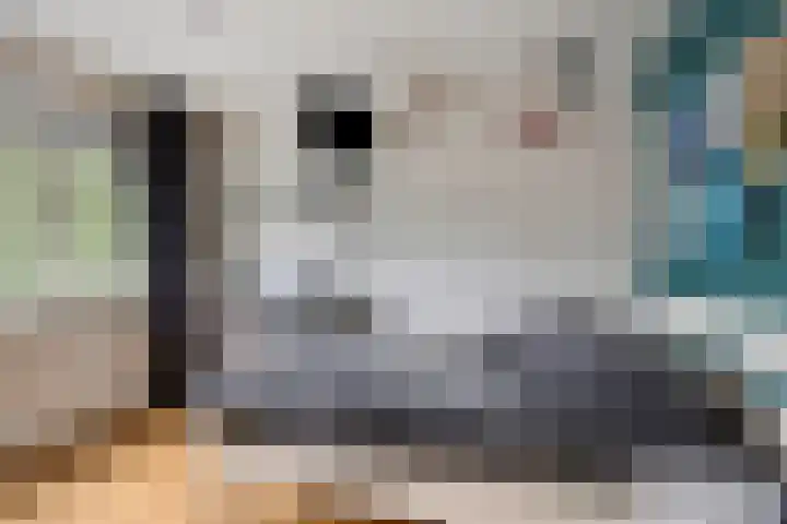Gerrit Peuscherstraat 41 Hengelo thumbnail 23