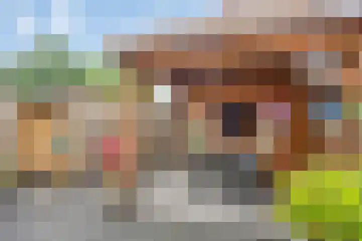 Gerrit Peuscherstraat 41 Hengelo thumbnail 34