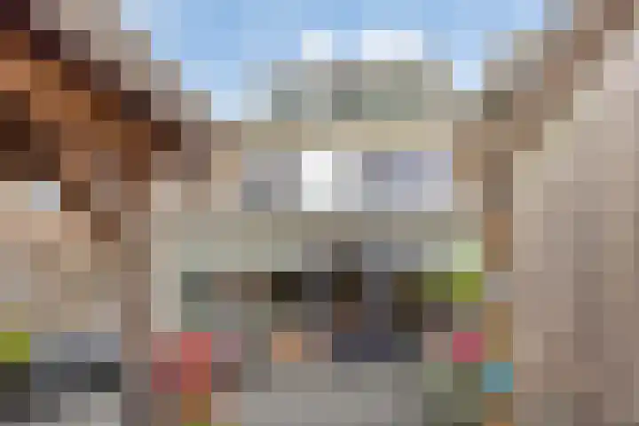 Gerrit Peuscherstraat 41 Hengelo thumbnail 35