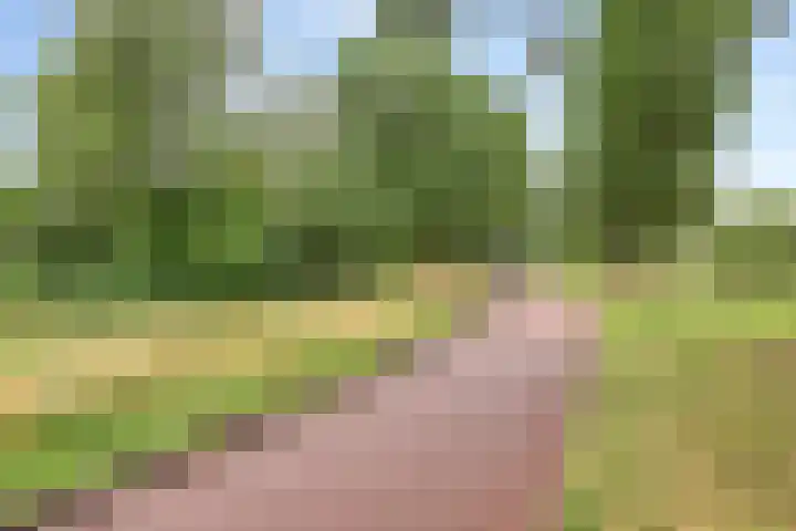 Gerrit Peuscherstraat 41 Hengelo thumbnail 37