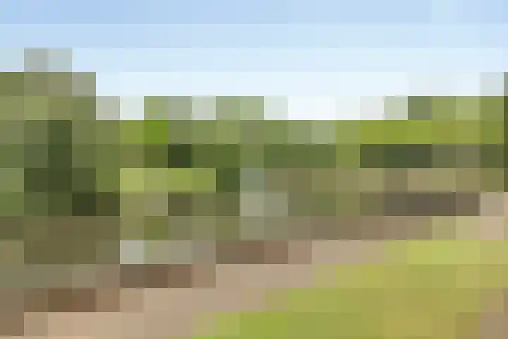 Gerrit Peuscherstraat 41 Hengelo thumbnail 38