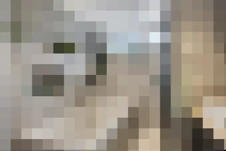 Gerrit Peuscherstraat 41 Hengelo thumbnail 4