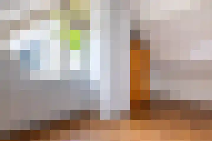 Gerrit Peuscherstraat 70 Hengelo thumbnail 47