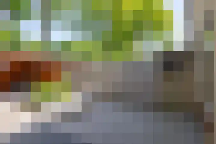 Gerrit Peuscherstraat 70 Hengelo thumbnail 53