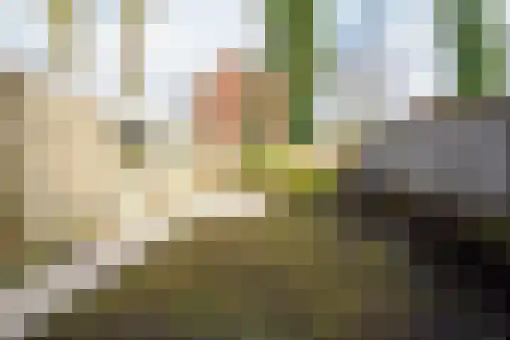 Gerrit Peuscherstraat 78 Hengelo thumbnail 26