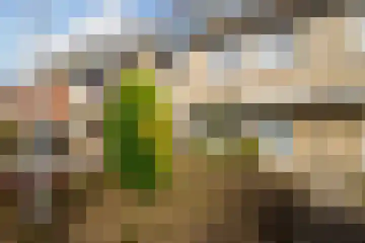 Gerrit Peuscherstraat 78 Hengelo thumbnail 32