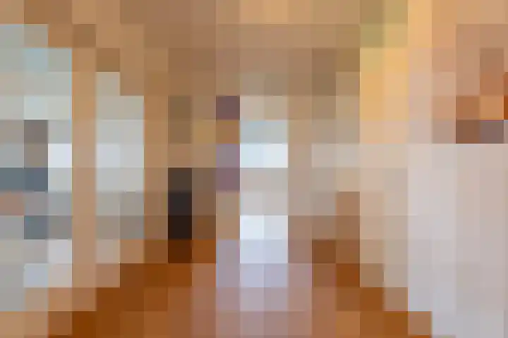 Gerrit Rietveldlaan 58 Oegstgeest thumbnail 16