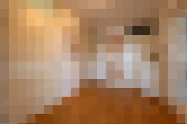 Gerrit Rietveldlaan 58 Oegstgeest thumbnail 17