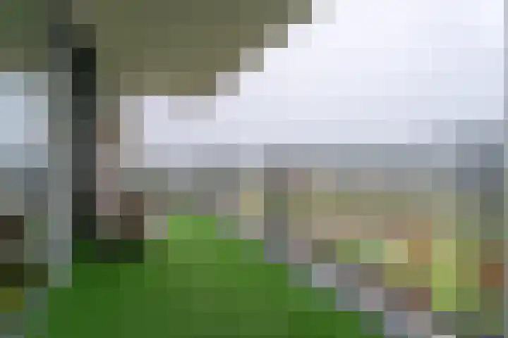 Gerrit Rietveldlaan 58 Oegstgeest thumbnail 21