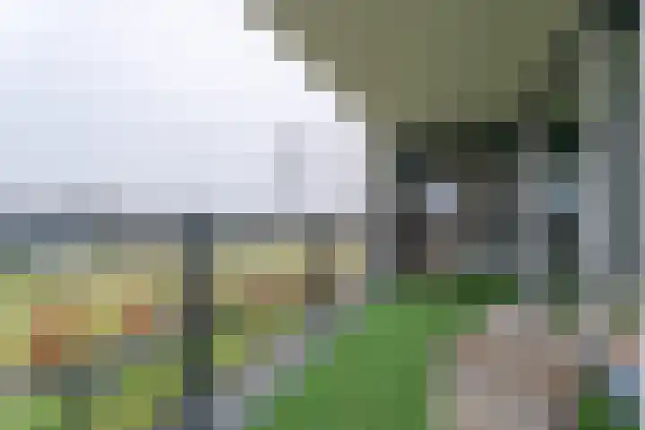 Gerrit Rietveldlaan 58 Oegstgeest thumbnail 22