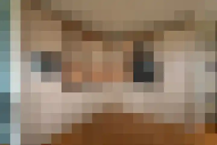 Gerrit Rietveldlaan 58 Oegstgeest thumbnail 6