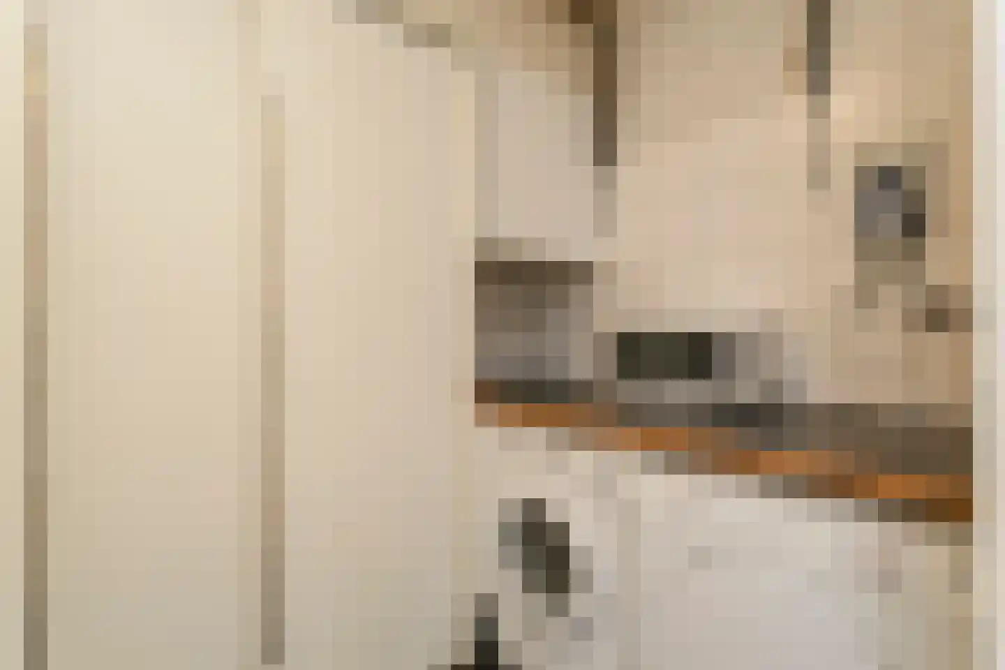 Gerrit Rietveldlaan 70 Oegstgeest thumbnail 18
