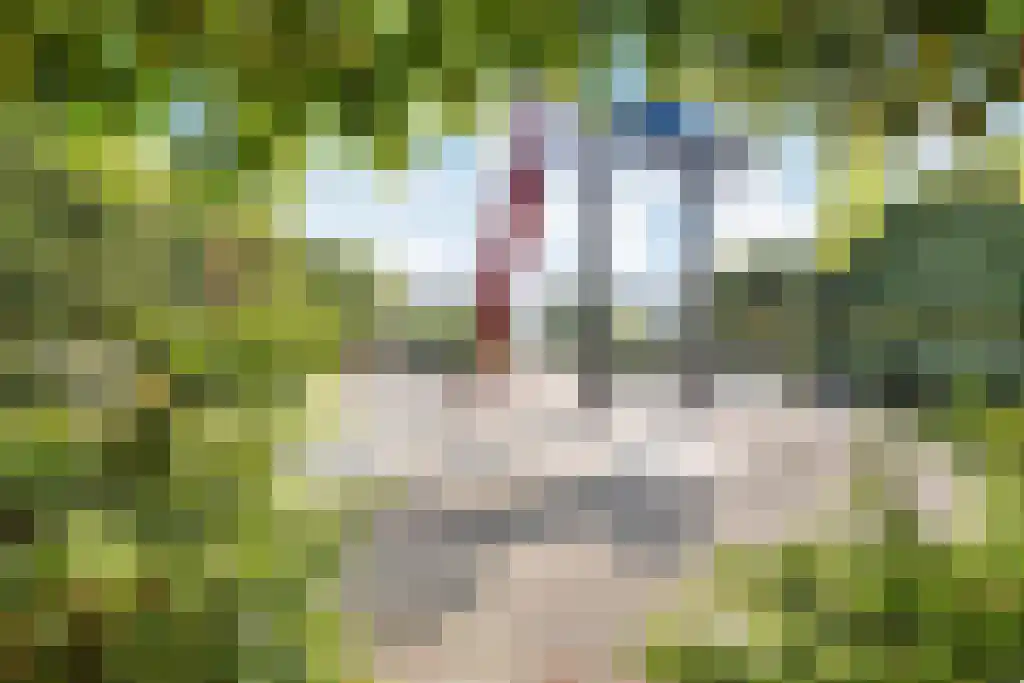 Gerrit Rietveldlaan 70 Oegstgeest thumbnail 36
