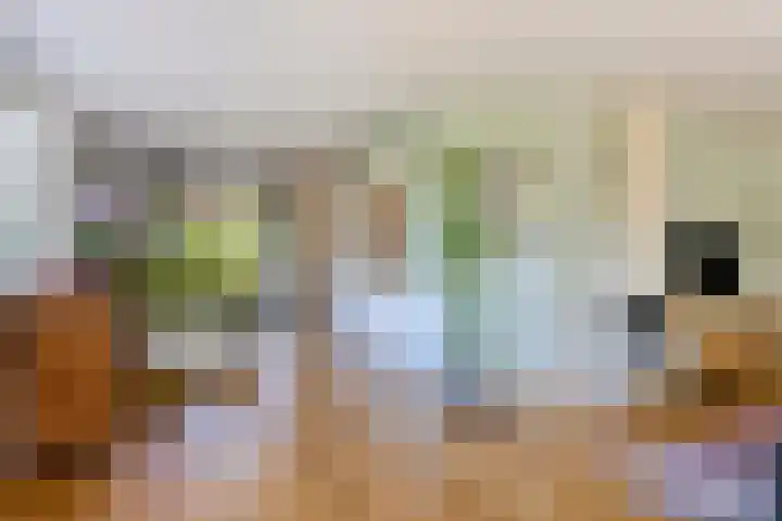 Gerrit Rietveldlaan 71 Oegstgeest thumbnail 11