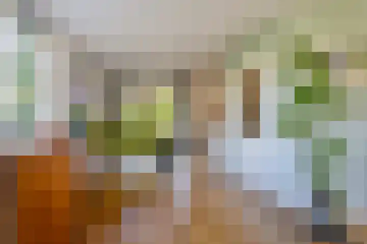 Gerrit Rietveldlaan 71 Oegstgeest thumbnail 13