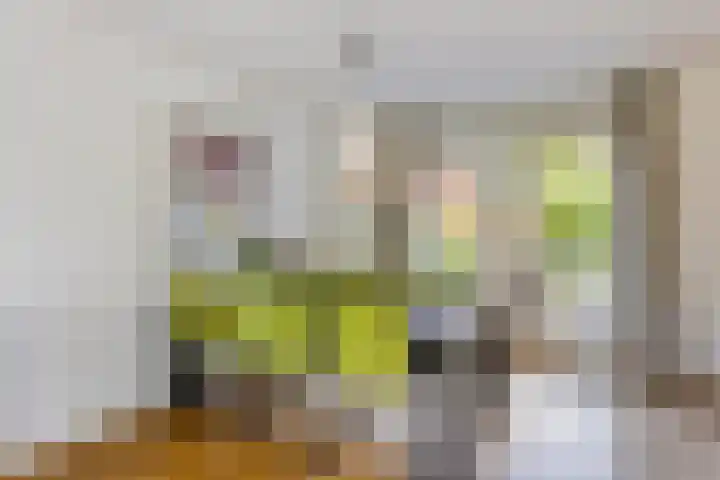 Gerrit Rietveldlaan 71 Oegstgeest thumbnail 14