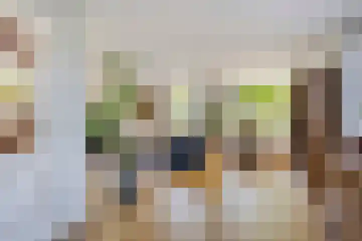 Gerrit Rietveldlaan 71 Oegstgeest thumbnail 15