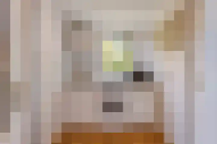 Gerrit Rietveldlaan 71 Oegstgeest thumbnail 18