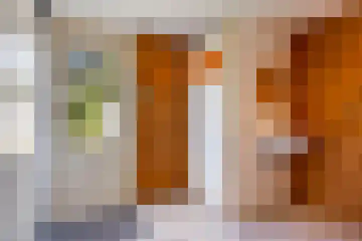 Gerrit Rietveldlaan 71 Oegstgeest thumbnail 19
