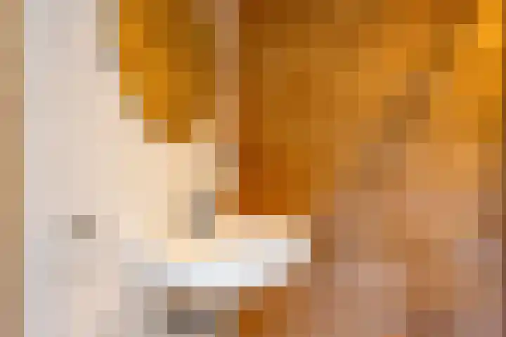 Gerrit Rietveldlaan 71 Oegstgeest thumbnail 21