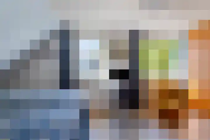 Gerrit Rietveldlaan 71 Oegstgeest thumbnail 26