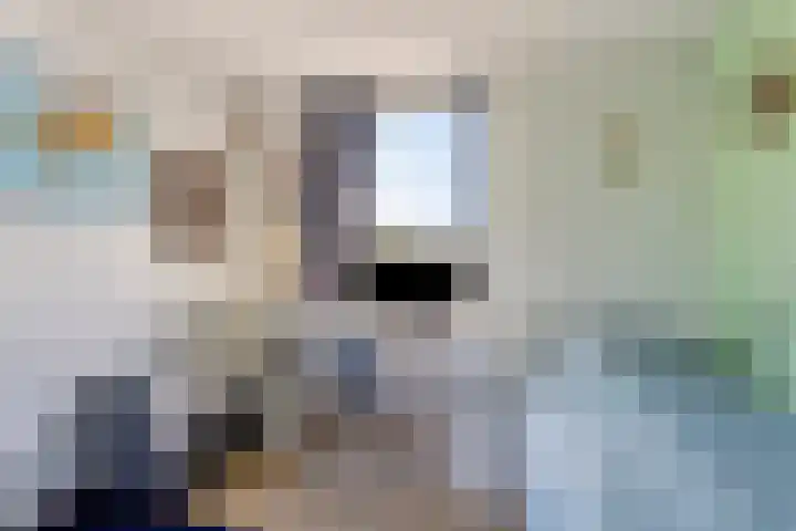 Gerrit Rietveldlaan 71 Oegstgeest thumbnail 34