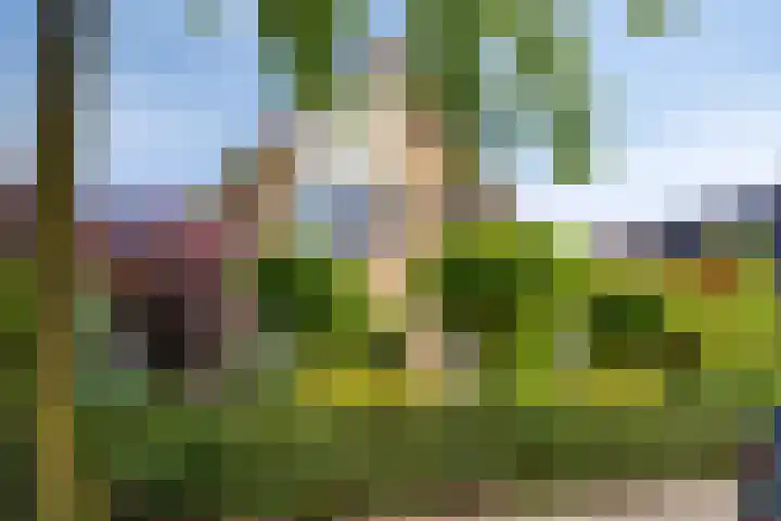 Gerrit Rietveldlaan 71 Oegstgeest thumbnail 4