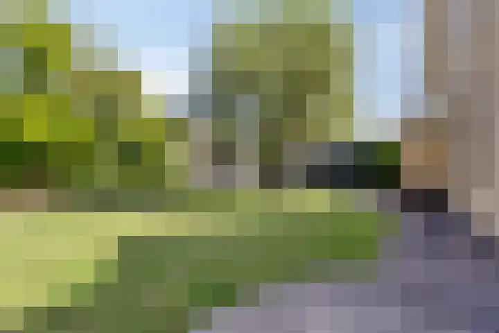Gerrit Rietveldlaan 71 Oegstgeest thumbnail 45