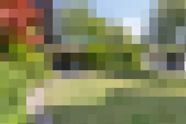 Gerrit Rietveldlaan 71 Oegstgeest thumbnail 46