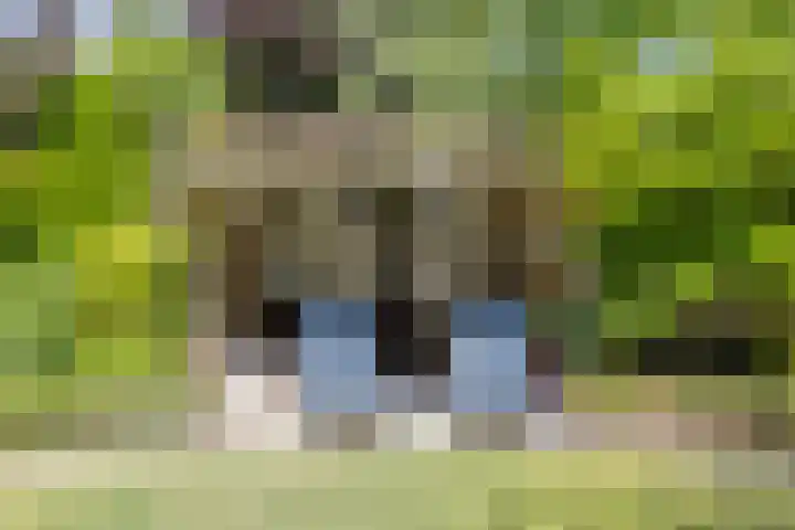 Gerrit Rietveldlaan 71 Oegstgeest thumbnail 49