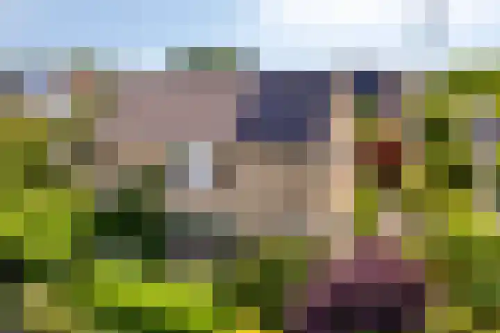 Gerrit Rietveldlaan 71 Oegstgeest thumbnail 5