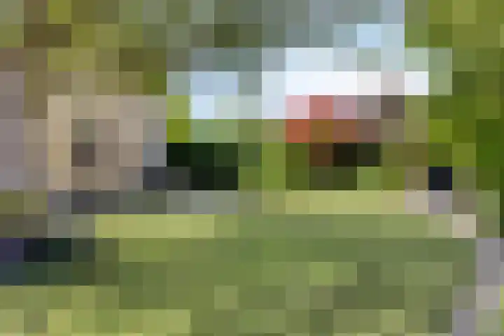 Gerrit Rietveldlaan 71 Oegstgeest thumbnail 51