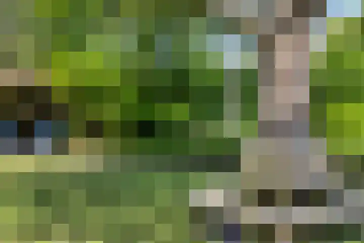 Gerrit Rietveldlaan 71 Oegstgeest thumbnail 52