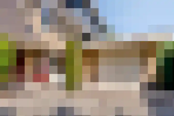 Gerrit Rietveldlaan 71 Oegstgeest thumbnail 55