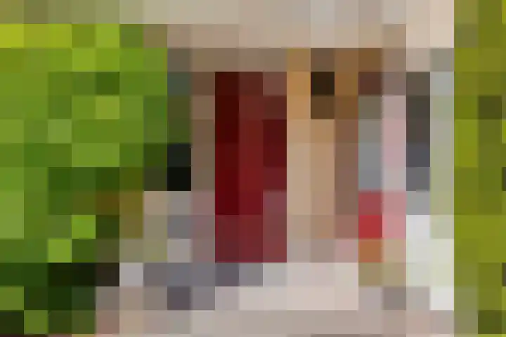 Gerrit Rietveldlaan 71 Oegstgeest thumbnail 56
