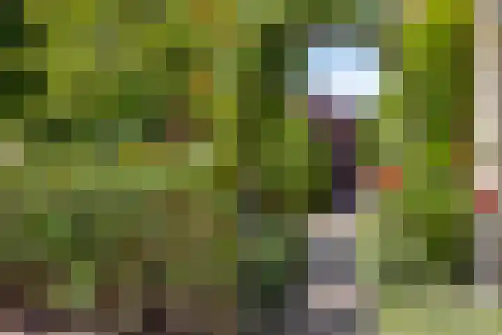 Gerrit Rietveldlaan 71 Oegstgeest thumbnail 57