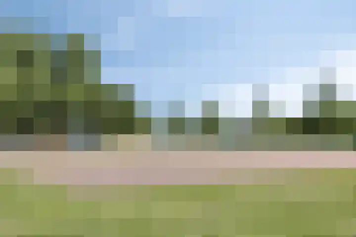 Gerrit Rietveldlaan 71 Oegstgeest thumbnail 61