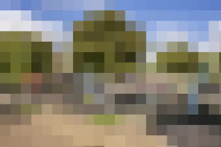 Gerrit Rietveldlaan 71 Oegstgeest thumbnail 63