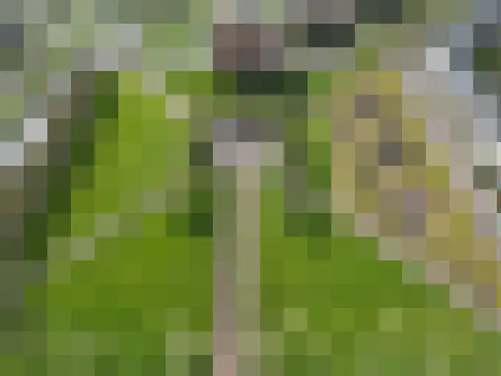 Gerrit Rietveldlaan 71 Oegstgeest thumbnail 64