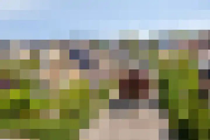 Gerrit Rietveldlaan 71 Oegstgeest thumbnail 77