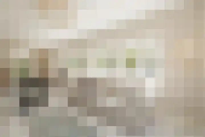 Gerrit Rietveldlaan 75 Oegstgeest thumbnail 12