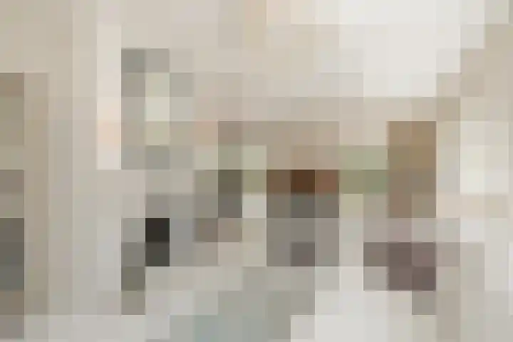 Gerrit Rietveldlaan 75 Oegstgeest thumbnail 13