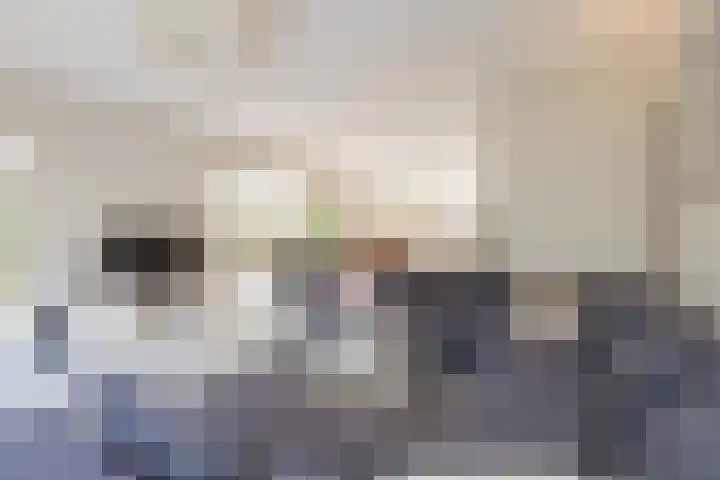 Gerrit Rietveldlaan 75 Oegstgeest thumbnail 21
