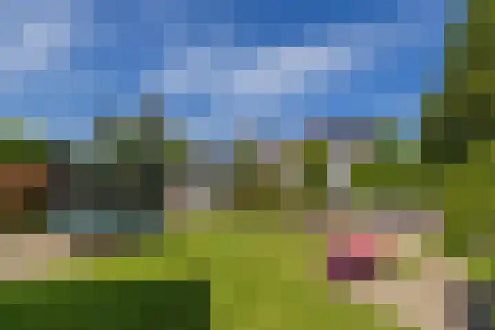 Gerrit Rietveldlaan 75 Oegstgeest thumbnail 32